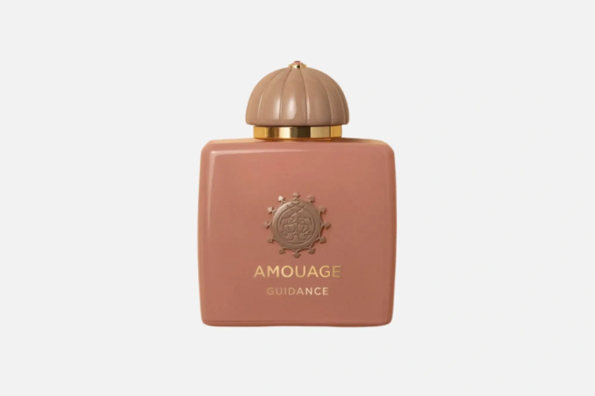 Amouage Guidance